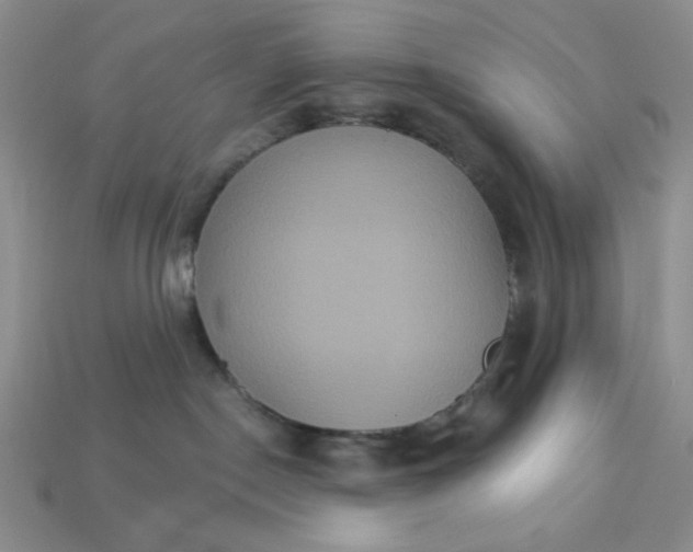 X0000113180190200909181901