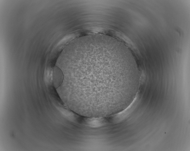 X0000113180191200909181901