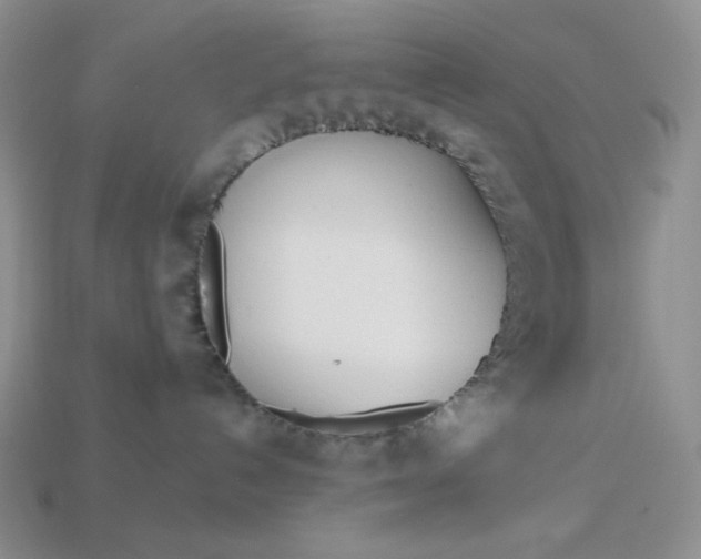 X0000113180192200909181901