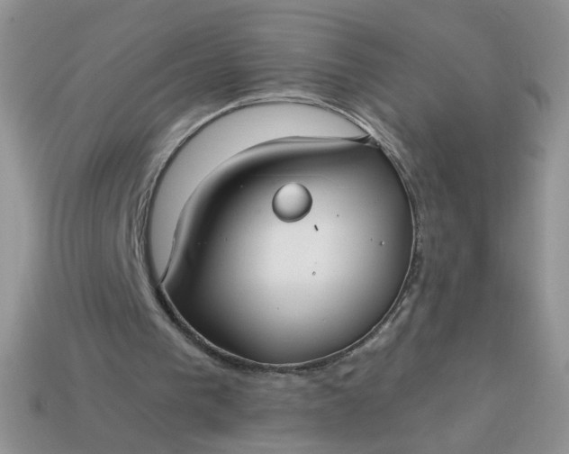 X0000113180193200909181901