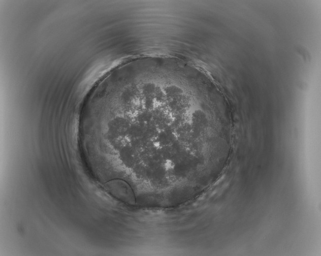 X0000113180194200909181901