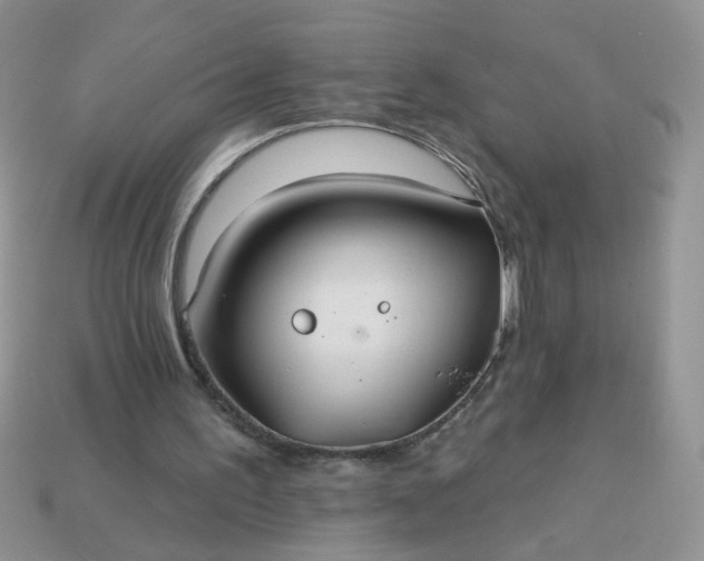 X0000113180195200909181901