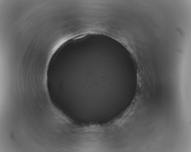 X0000113180196200909181900