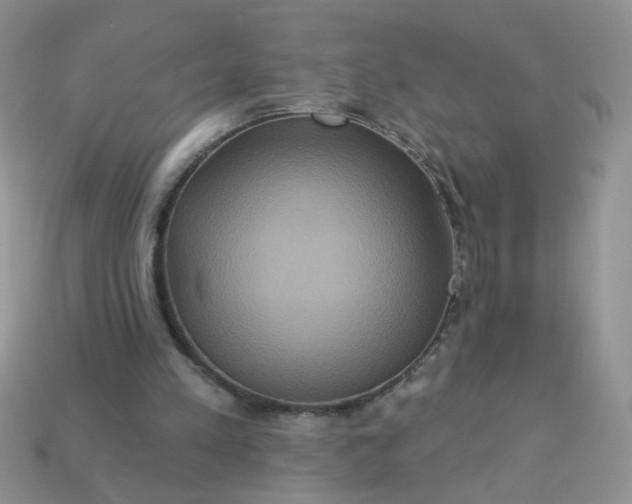 X0000113180197200909181900