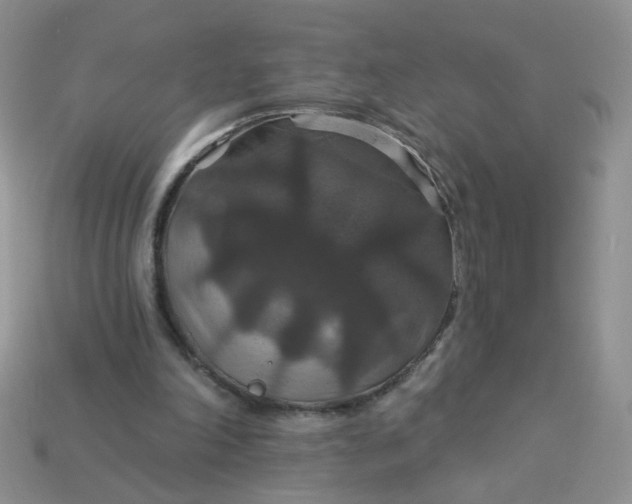 X0000113180198200909181900