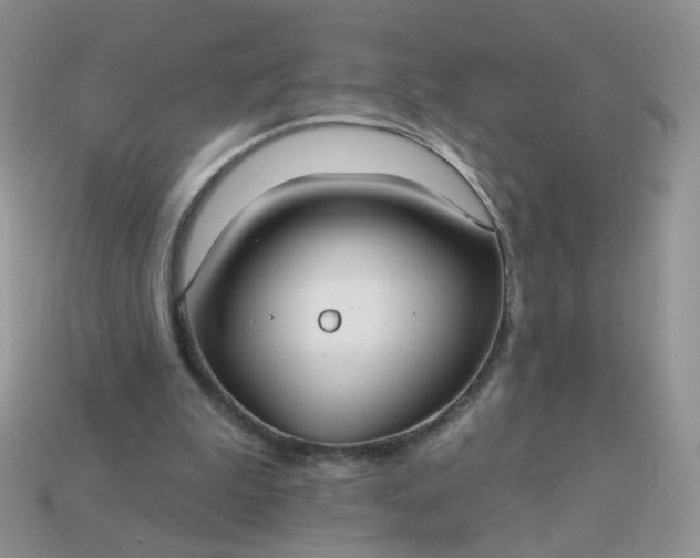 X0000113180199200909181900