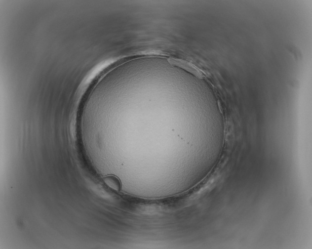 X0000113180200200909181900