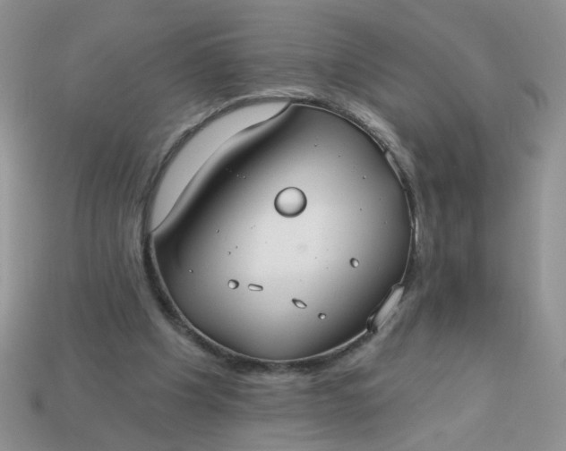 X0000113180201200909181900