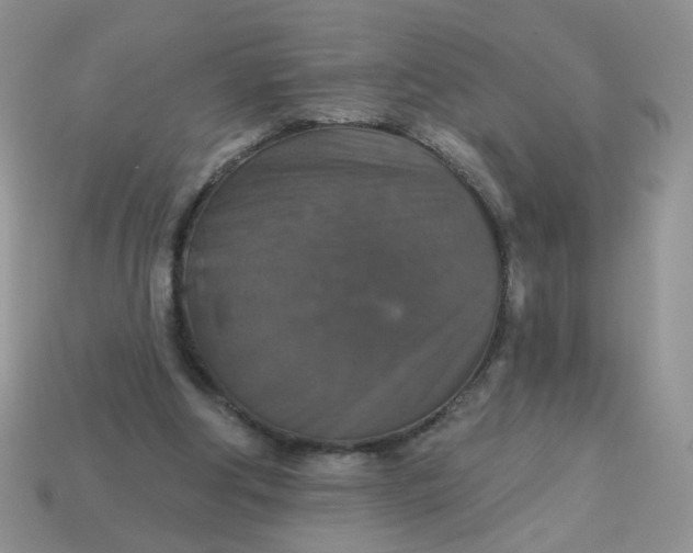 X0000113180202200909181900