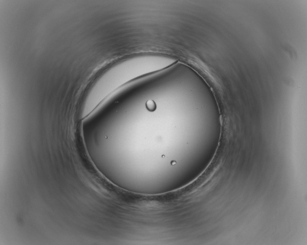 X0000113180203200909181900