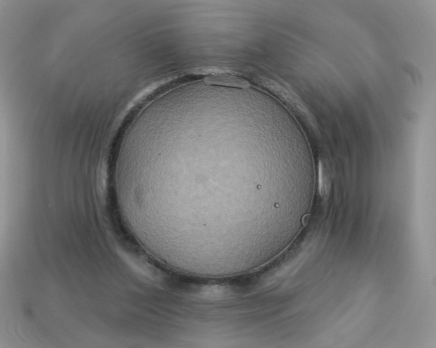 X0000113180204200909181900