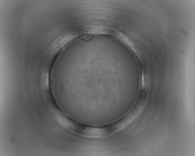 X0000113180205200909181900