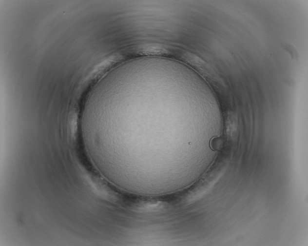 X0000113180206200909181900