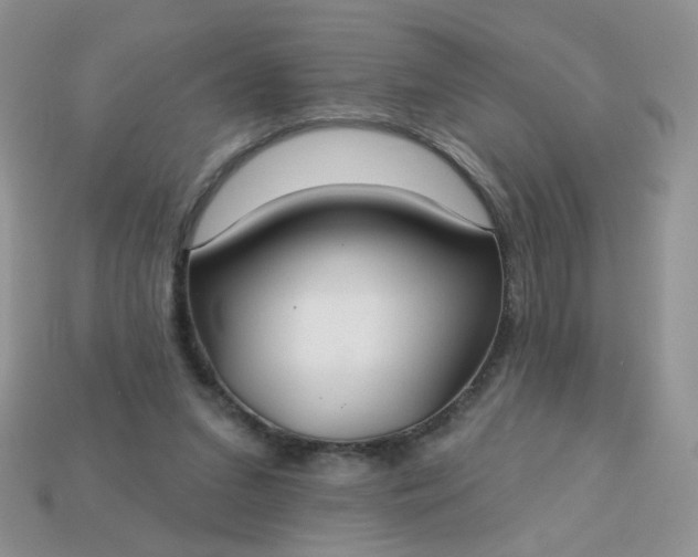 X0000113180207200909181900