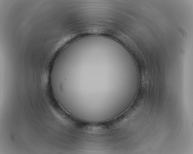 X0000113180208200909181900