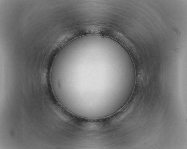 X0000113180209200909181900