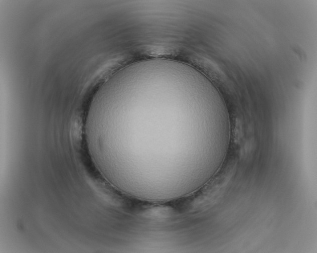 X0000113180210200909181900