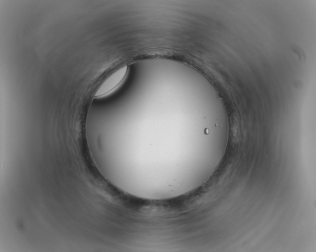 X0000113180211200909181900