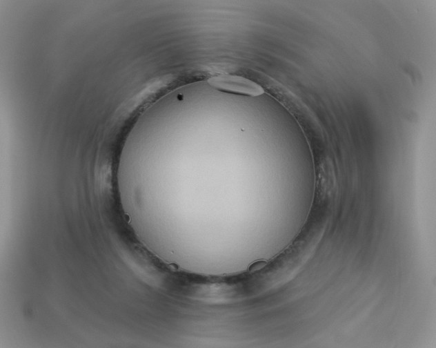 X0000113180212200909181900