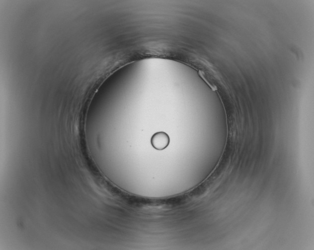 X0000113180213200909181900