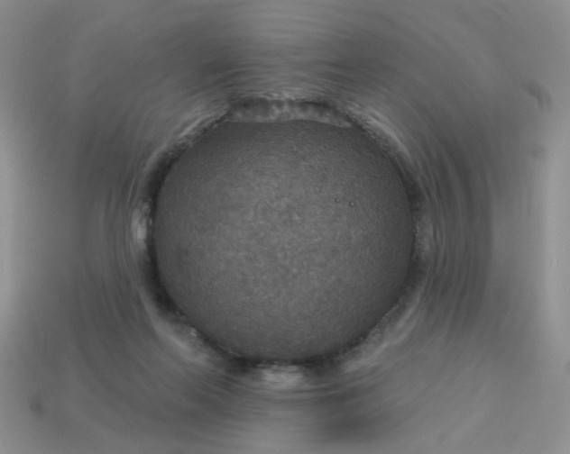 X0000113180214200909181900