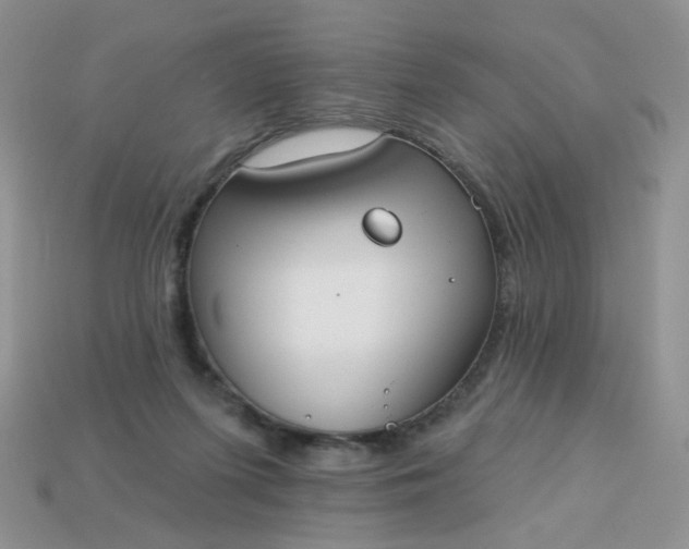 X0000113180215200909181900