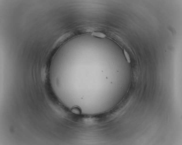 X0000113180216200909181900