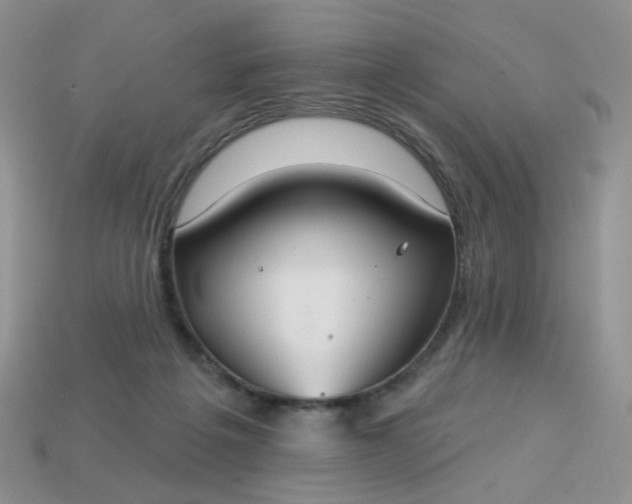 X0000113180217200909181900