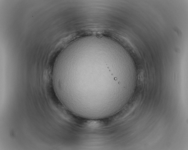 X0000113180218200909181900