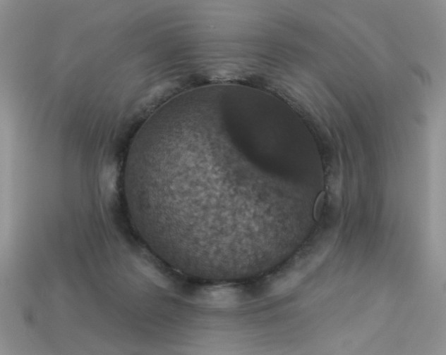 X0000113180219200909181900