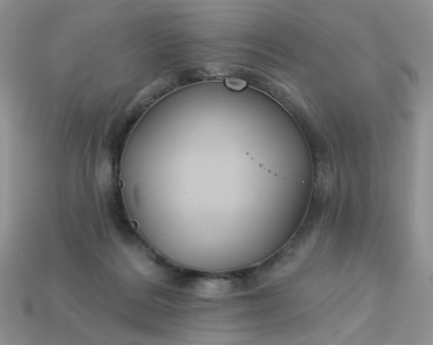 X0000113180220200909181900