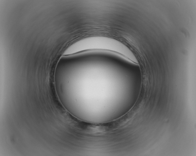 X0000113180221200909181900