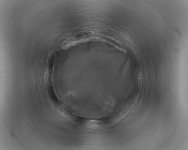 X0000113180222200909181900