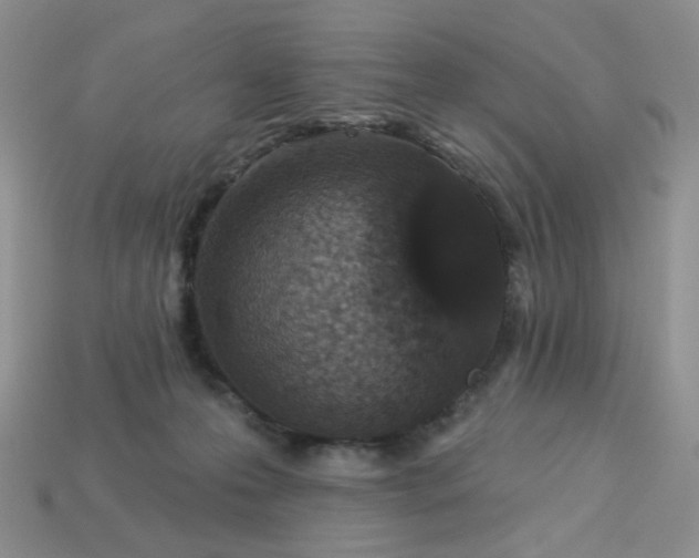 X0000113180223200909181900