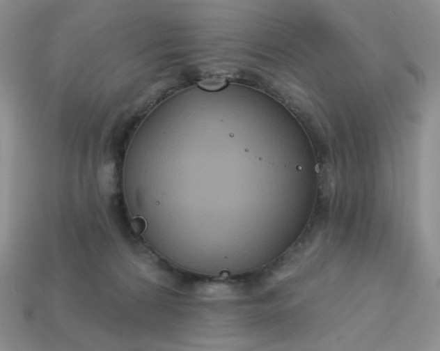 X0000113180224200909181900