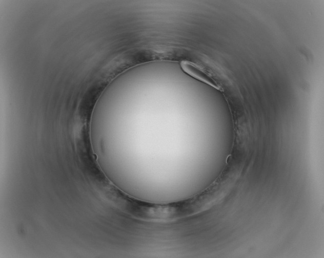 X0000113180225200909181900