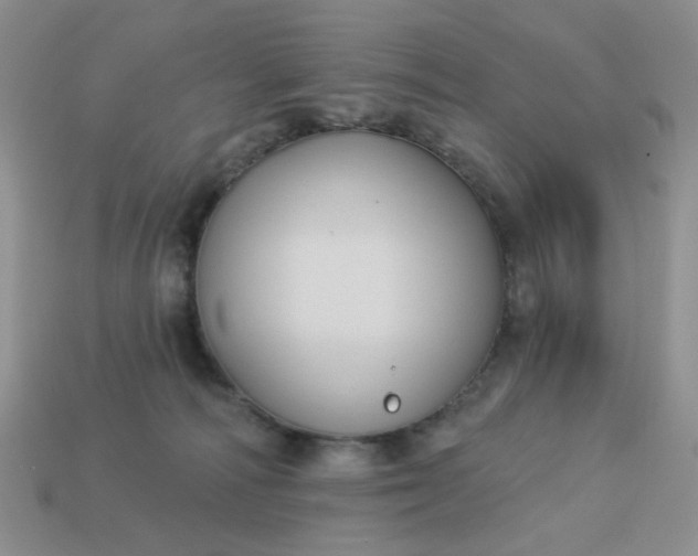 X0000113180226200909181900