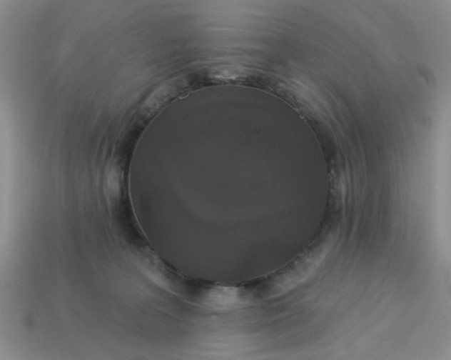 X0000113180227200909181900