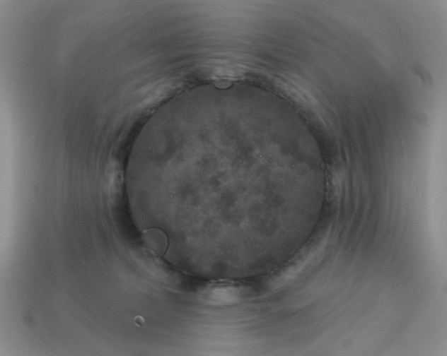 X0000113180228200909181900