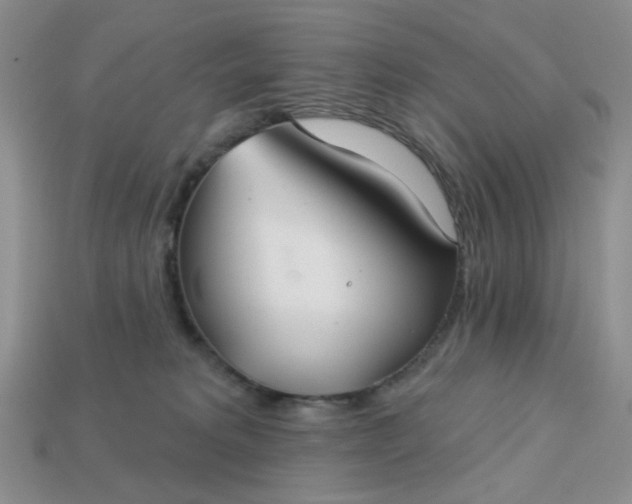 X0000113180229200909181900