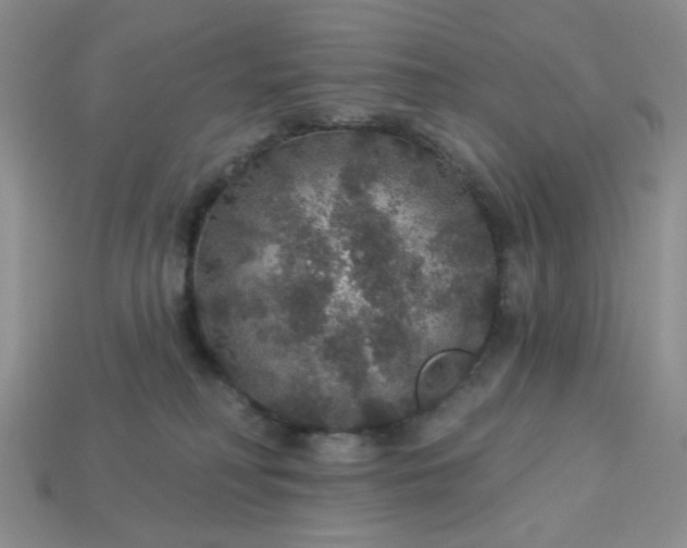 X0000113180230200909181900