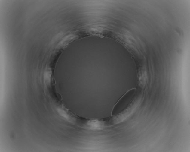 X0000113180231200909181900