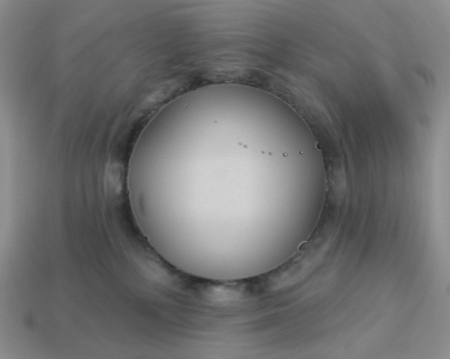 X0000113180232200909181900