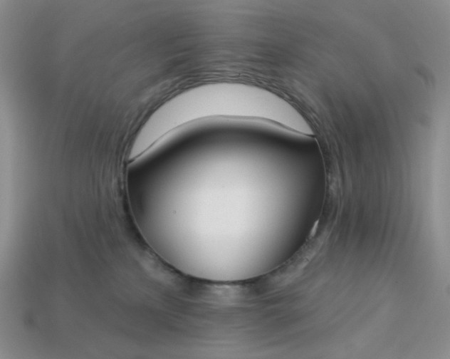 X0000113180233200909181900