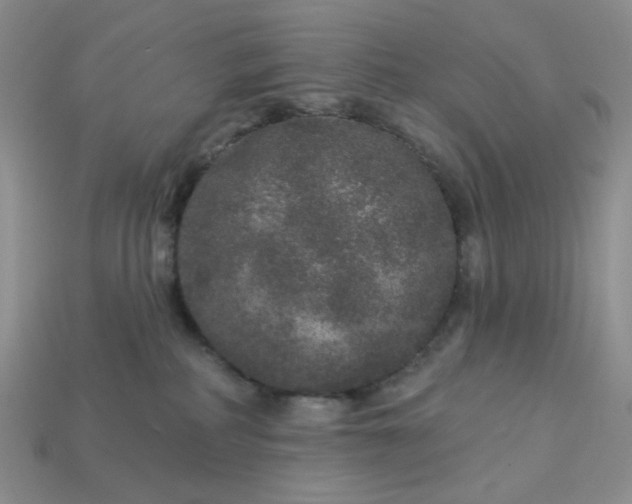 X0000113180234200909181900