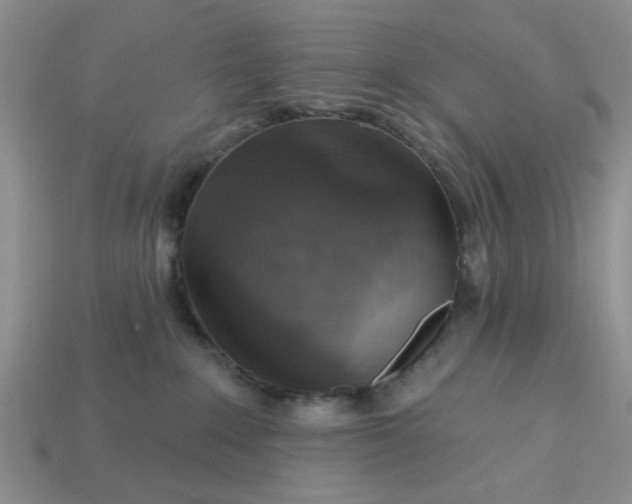 X0000113180235200909181900