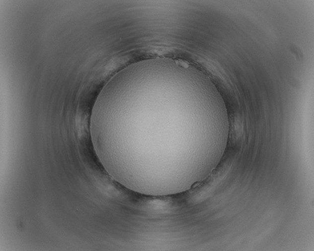 X0000113180236200909181900