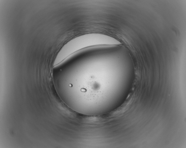 X0000113180237200909181900