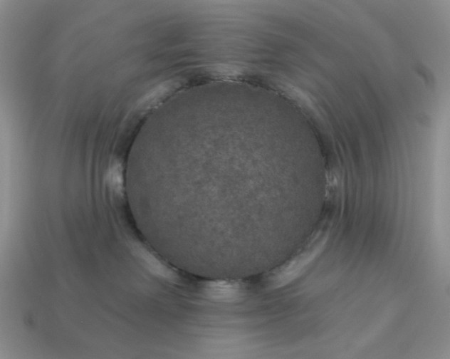 X0000113180238200909181900