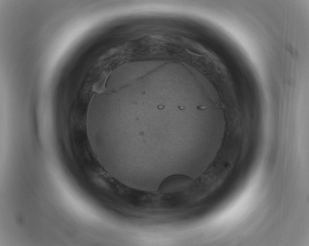 X0000113180239200909181900